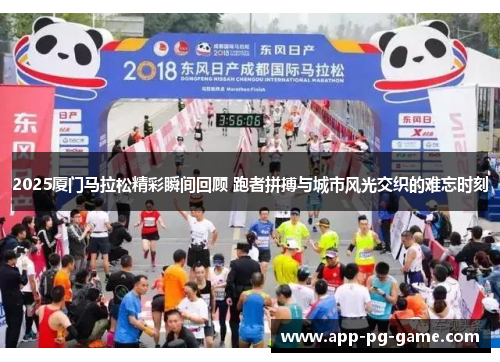 2025厦门马拉松精彩瞬间回顾 跑者拼搏与城市风光交织的难忘时刻