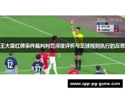 王大雷红牌事件裁判判罚深度评析与足球规则执行的反思