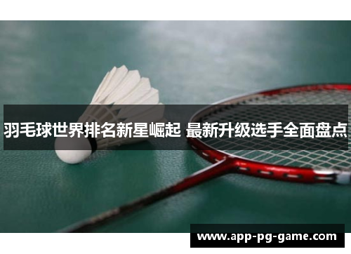 羽毛球世界排名新星崛起 最新升级选手全面盘点