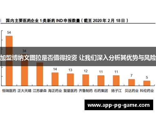 加盟博纳文图拉是否值得投资 让我们深入分析其优势与风险