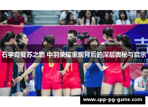 石宇奇复苏之路 中羽荣耀重现背后的深层奥秘与启示