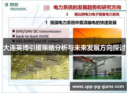 大连英博引援策略分析与未来发展方向探讨