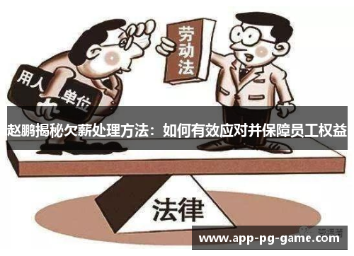 赵鹏揭秘欠薪处理方法：如何有效应对并保障员工权益