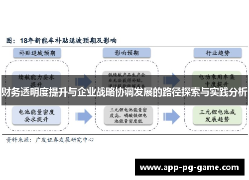 财务透明度提升与企业战略协调发展的路径探索与实践分析