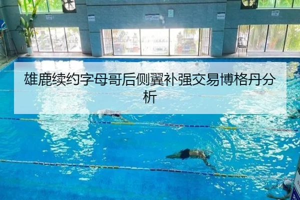 雄鹿续约字母哥后侧翼补强交易博格丹分析