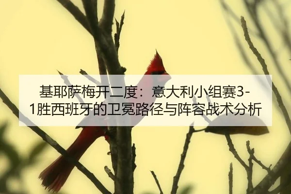 ji-ye-sa-mei-kai-er-du-yi-da-li-xiao-zu-sai-sheng-xi-ban-ya-de-wei-mian-lu-jing-yu-zhen-rong-zhan-shu-fen-xi-3-430.jpg