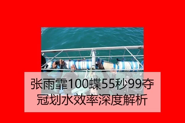 zhang-yu-fei-die-miao-duo-guan-hua-shui-xiao-lv-shen-du-jie-xi-3-463.jpg