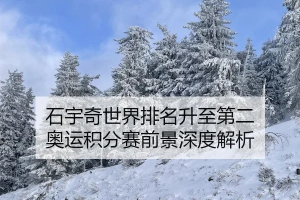shi-yu-qi-shi-jie-pai-ming-sheng-zhi-di-er-ao-yun-ji-fen-sai-qian-jing-shen-du-jie-xi-3-804.jpg
