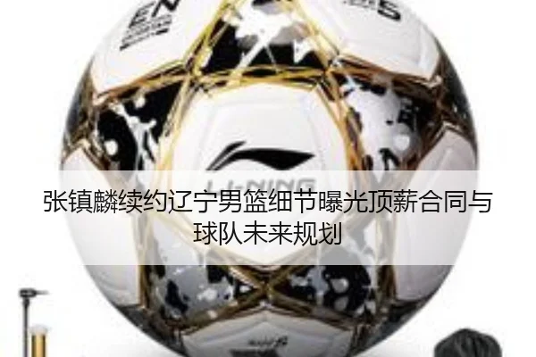 张镇麟续约辽宁男篮细节曝光顶薪合同与球队未来规划
