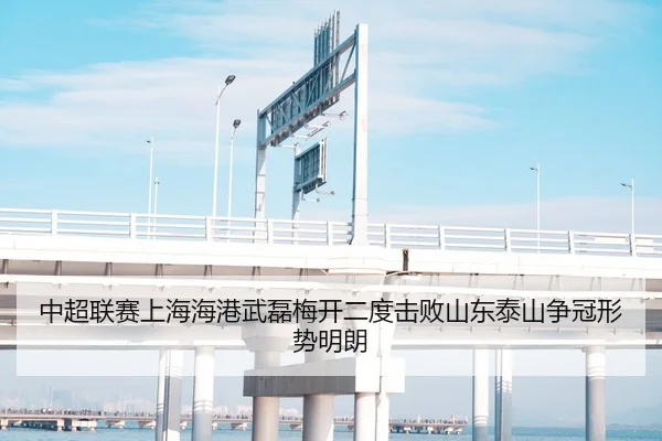 中超联赛上海海港武磊梅开二度击败山东泰山争冠形势明朗